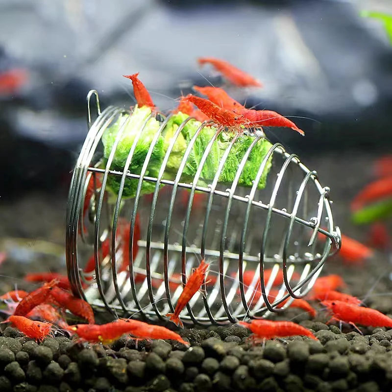 Aquarium Fertilizer - Aço inoxidável aquário pequeno alimentador de