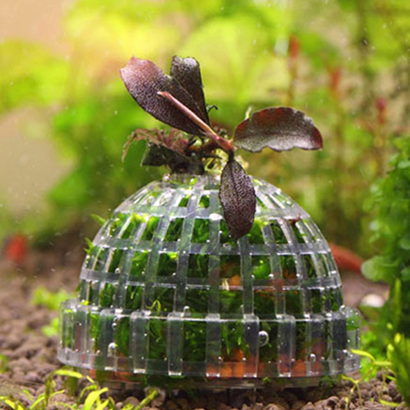 Live Plant Aquarium - 1 unidade de decorações para animais