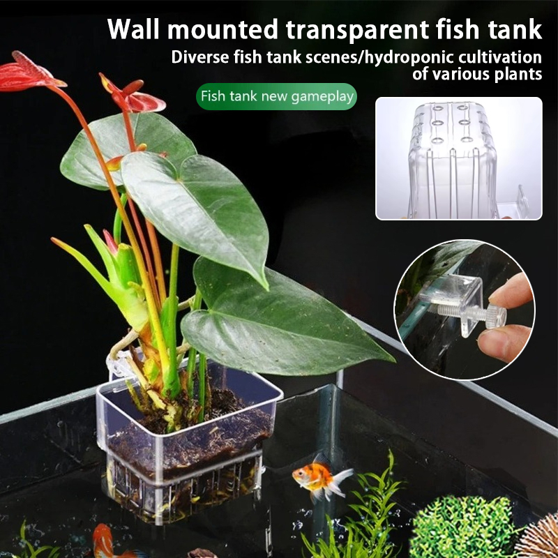 Aquarium Plant Holder - Cestas Suspensas para Aquário, Suporte de