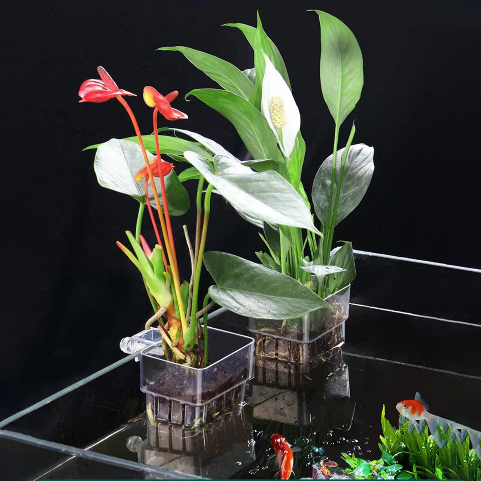 Aquarium Plant Holder - Suporte de plantas em acrílico transparente,