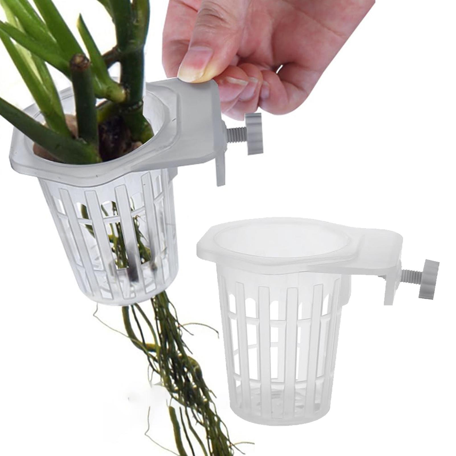 Aquarium Plant Holder - 2 unidades de suporte para plantas