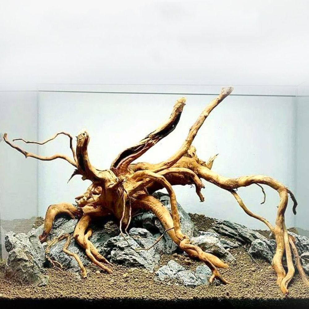 Aquarium Plants Live - Tronco de Madeira Natural Grande para