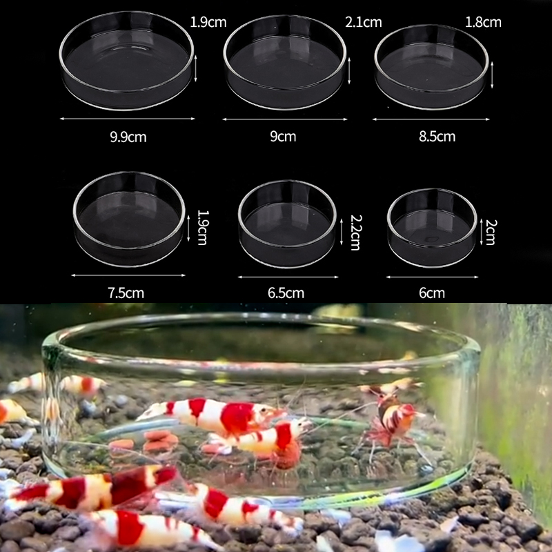 Aquarium Fertilizer - Prato de alimentação de camarão, prato