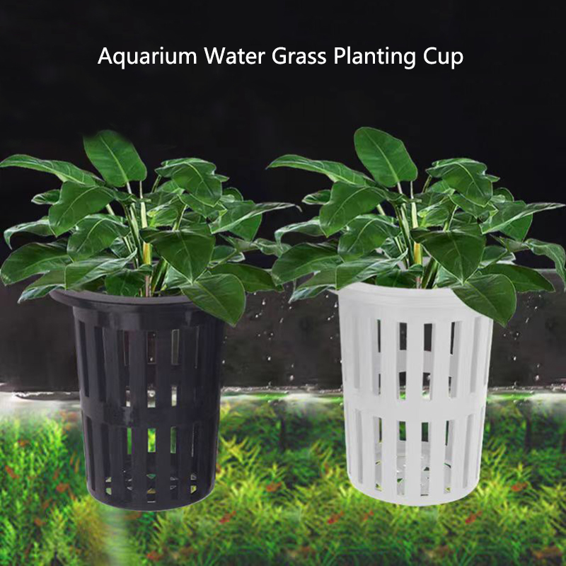 Aquarium Plants Live - 1/3 pçs cesta de plantas de