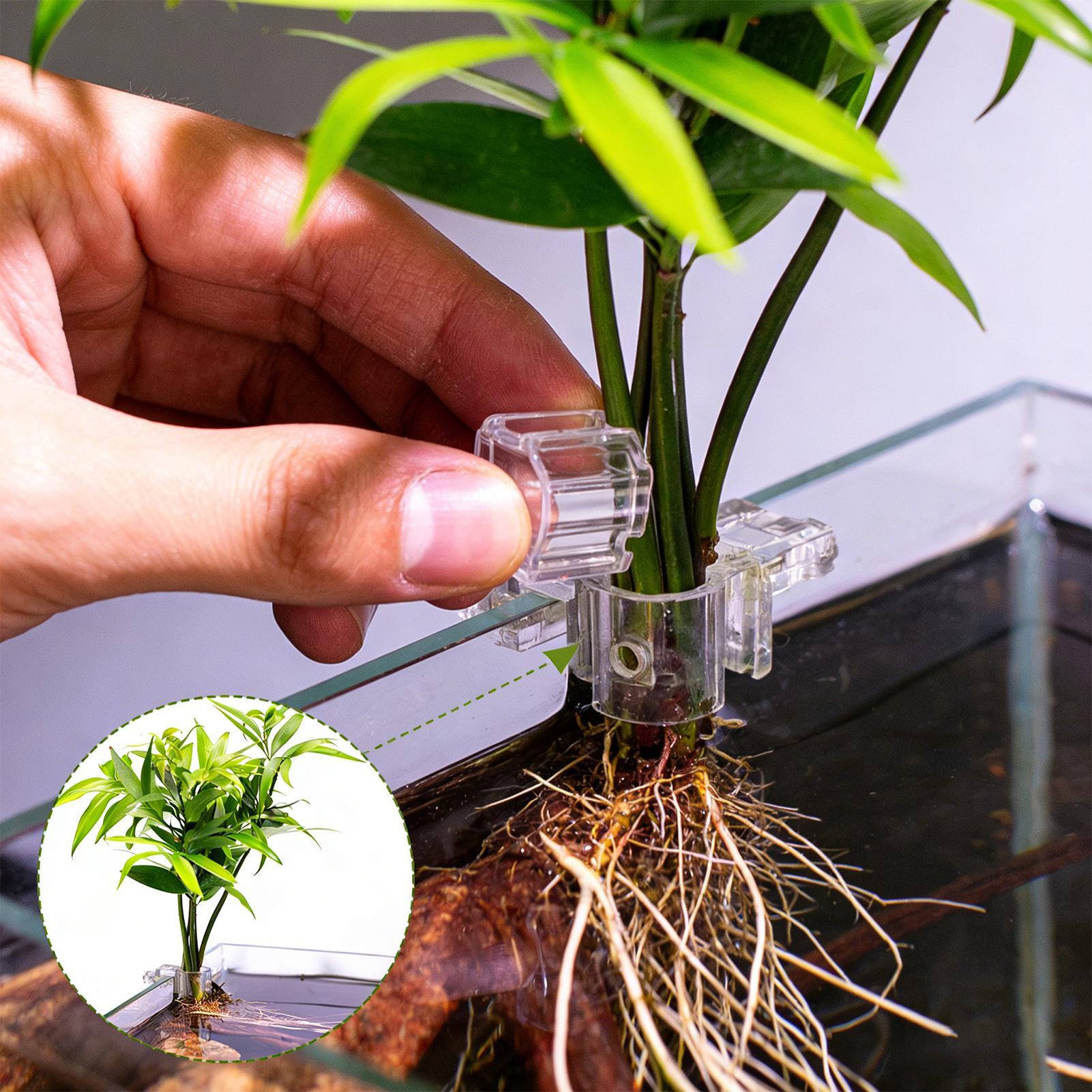 Aquarium Plant Holder - Suportes Transparentes para Plantas de Aquário