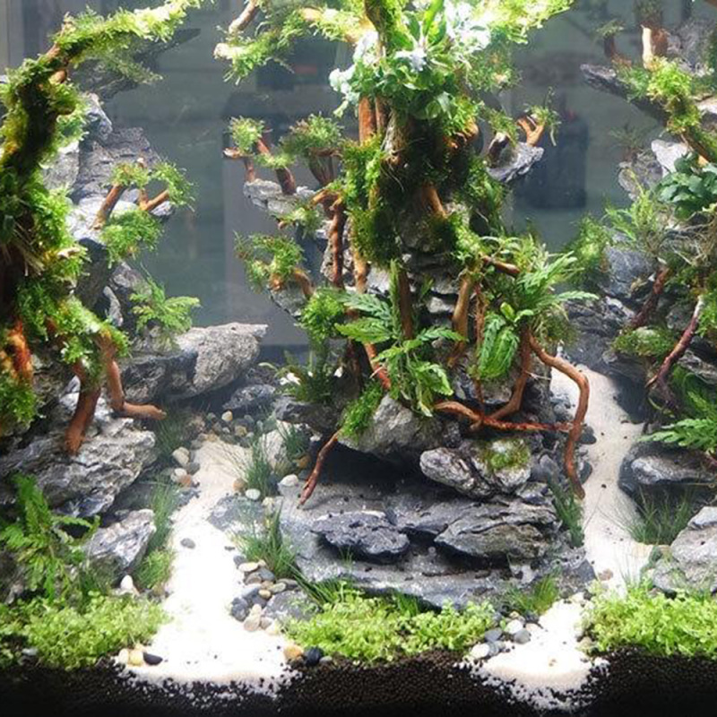 Tronco de madeira natural para - Aquarium Driftwood avaliação e preço