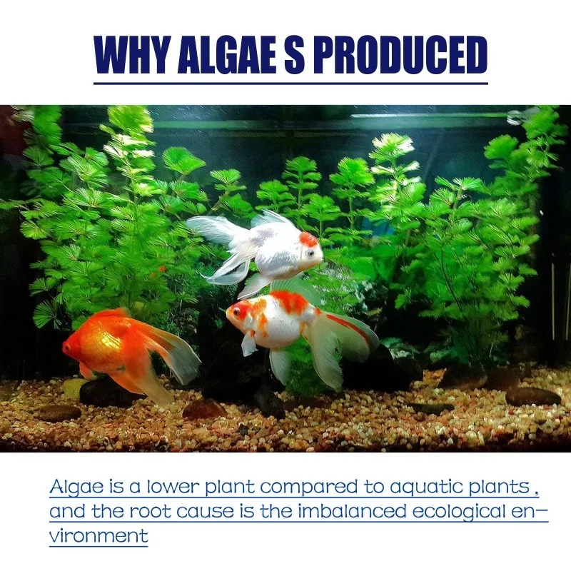 Algaicida de Alta Eficiência 5 - Planted Aquarium Algae Control avaliação e preço