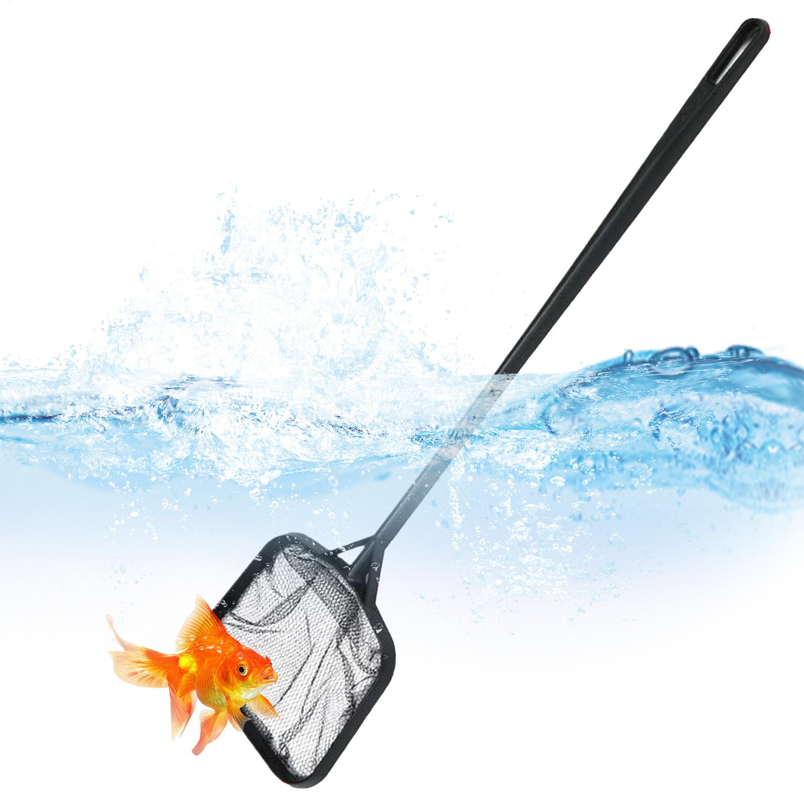 Redes para Limpeza de Piscinas - Planted Aquarium Cleaning avaliação e preço