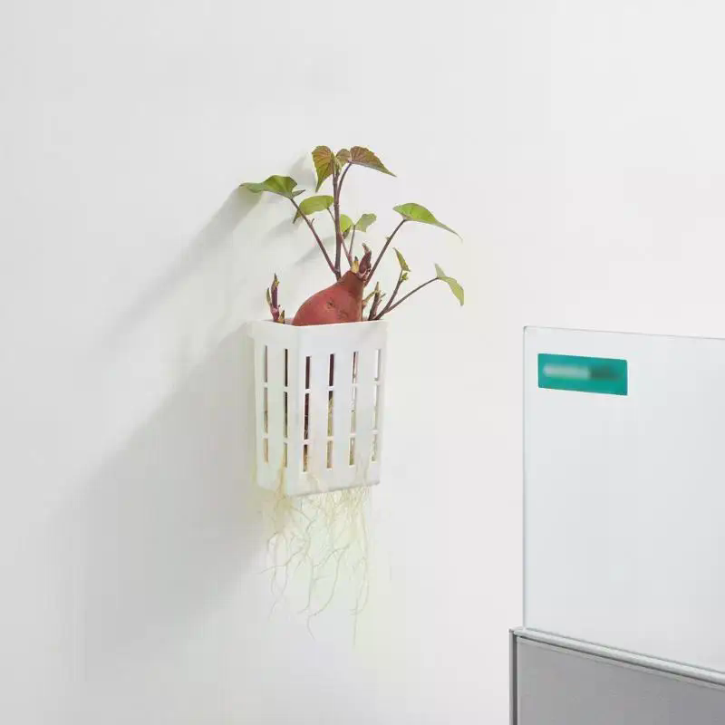 1 Peça Cesto de Suporte Hidrop - Planted Tank avaliação e preço