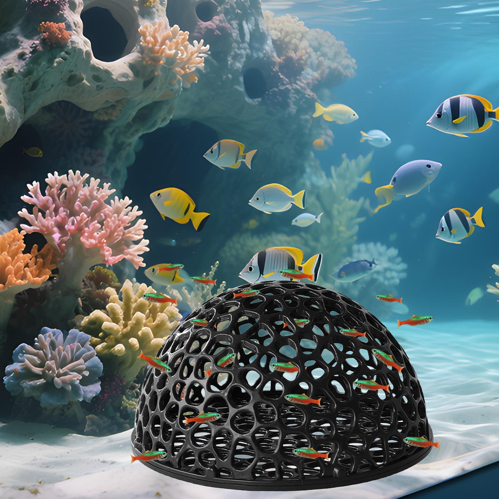 Abrigo de caverna para aquário - Aquarium Plant Holder avaliação e preço