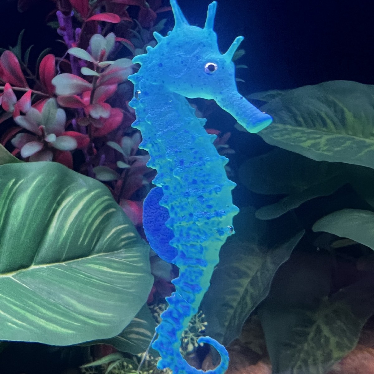 Decoração de Aquário com Caval - Aquarium Plant Substrate avaliação e preço
