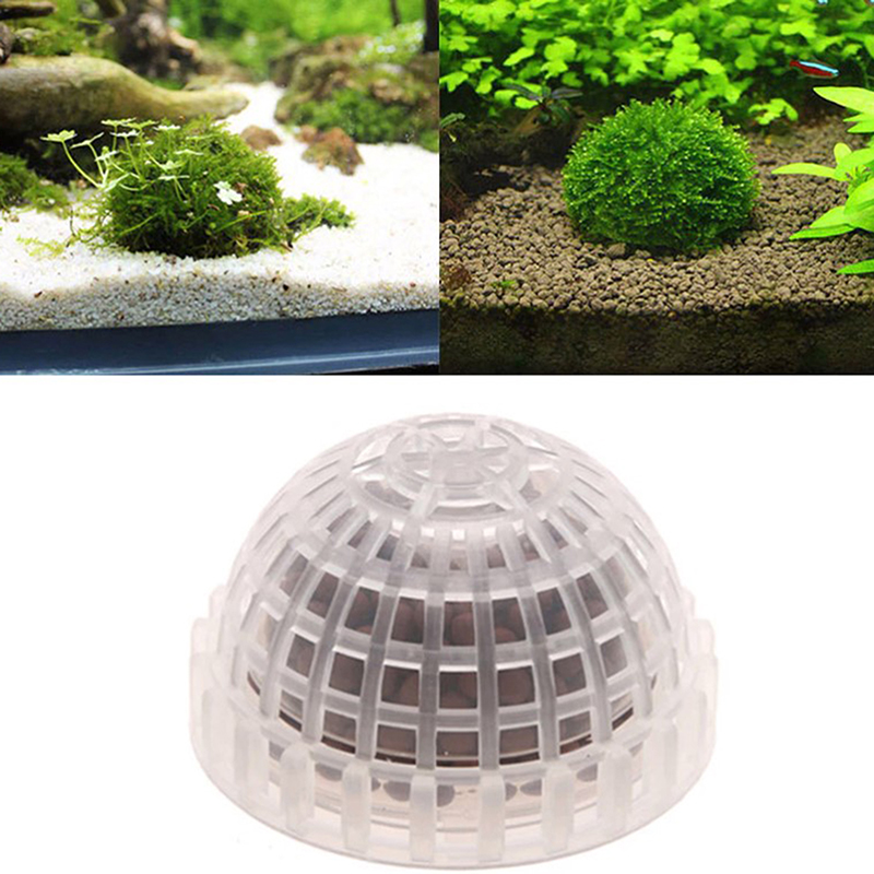 1 unidade de decorações para a - Live Plant Aquarium avaliação e preço