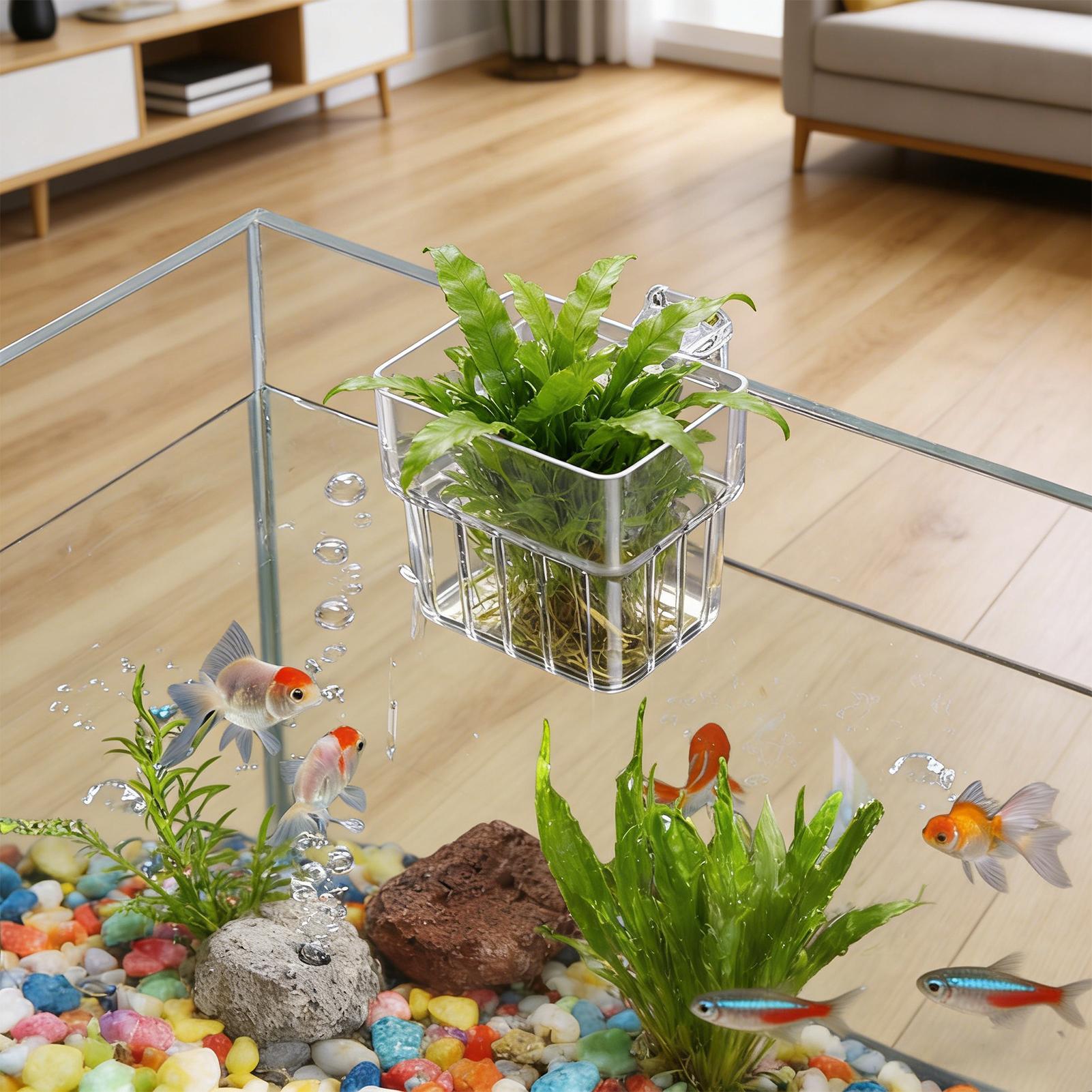 Cesto fixo para aquário, cesto - Aquarium Plants Live avaliação e preço