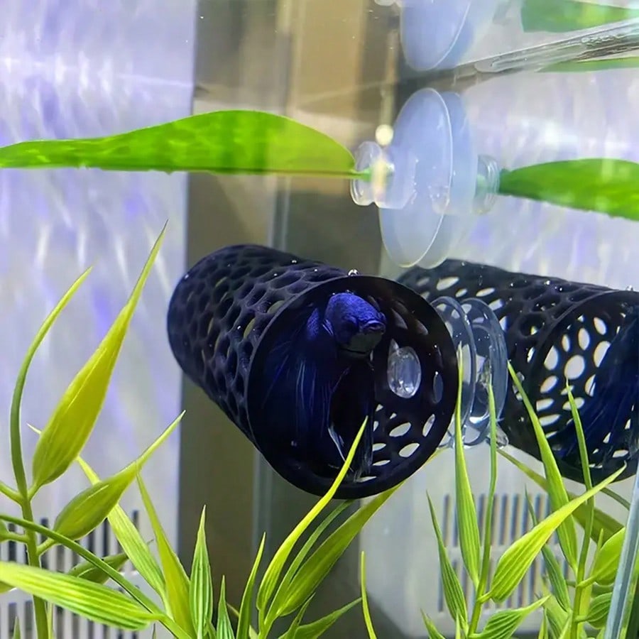 Esconderijo para Peixe Betta e - Aquarium Plants Live avaliação e preço