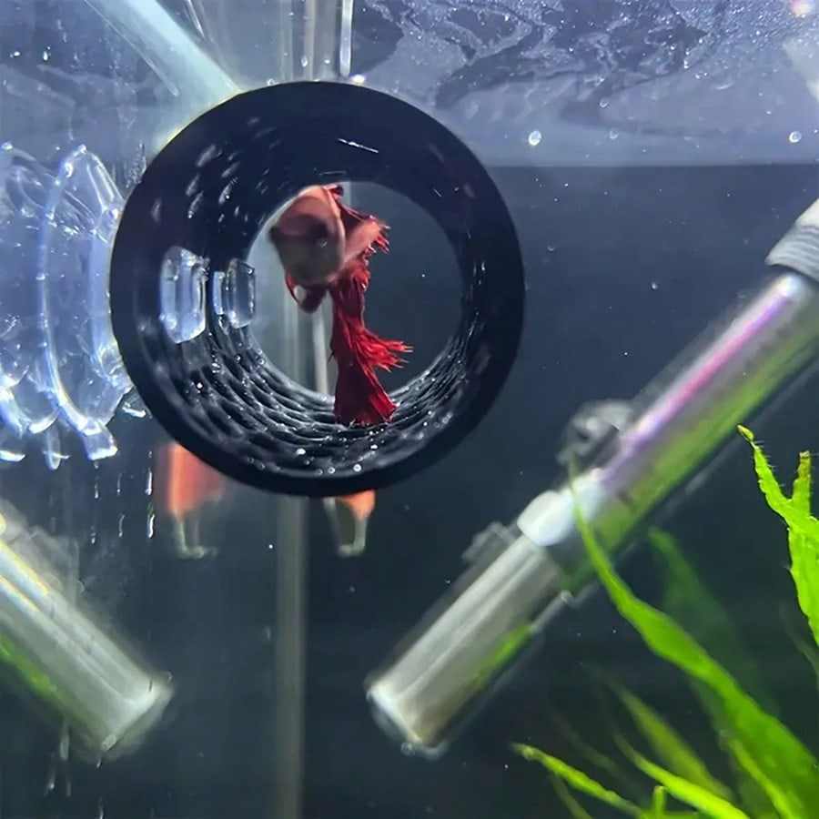 Esconderijo para Peixe Betta e - Aquarium Plants Live avaliação e preço