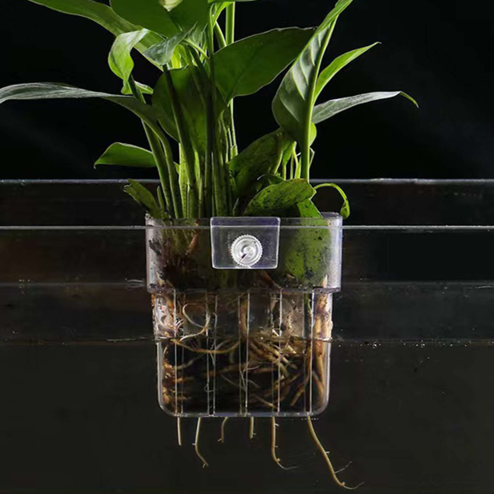 Suporte de plantas em acrílico - Aquarium Plant Holder avaliação e preço