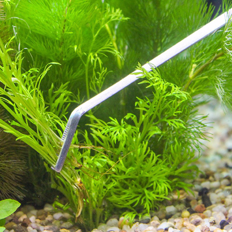 Kit profissional de ferramenta - Live Plant Aquarium avaliação e preço
