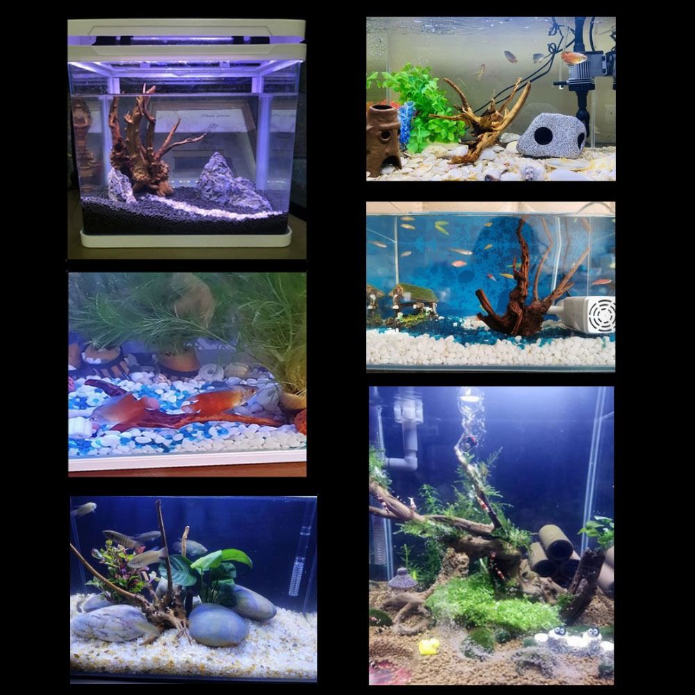Tronco de Madeira Natural Gran - Aquarium Plants Live avaliação e preço