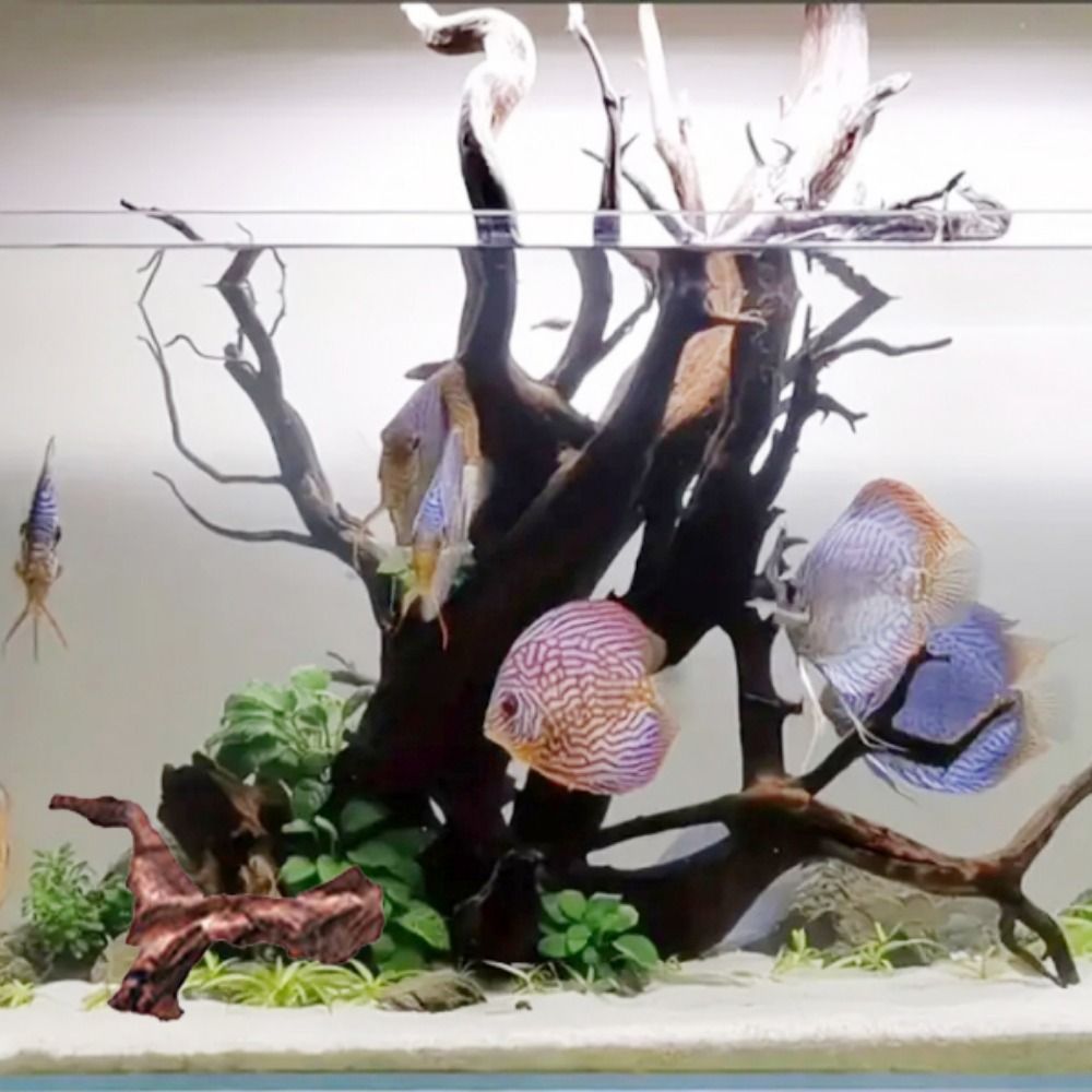 Tronco de Madeira Natural de C - Aquarium Moss avaliação e preço