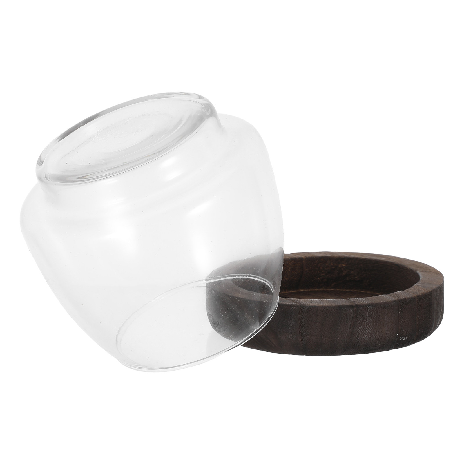 Suporte de plantas hidropônica - Aquarium Plant Holder avaliação e preço