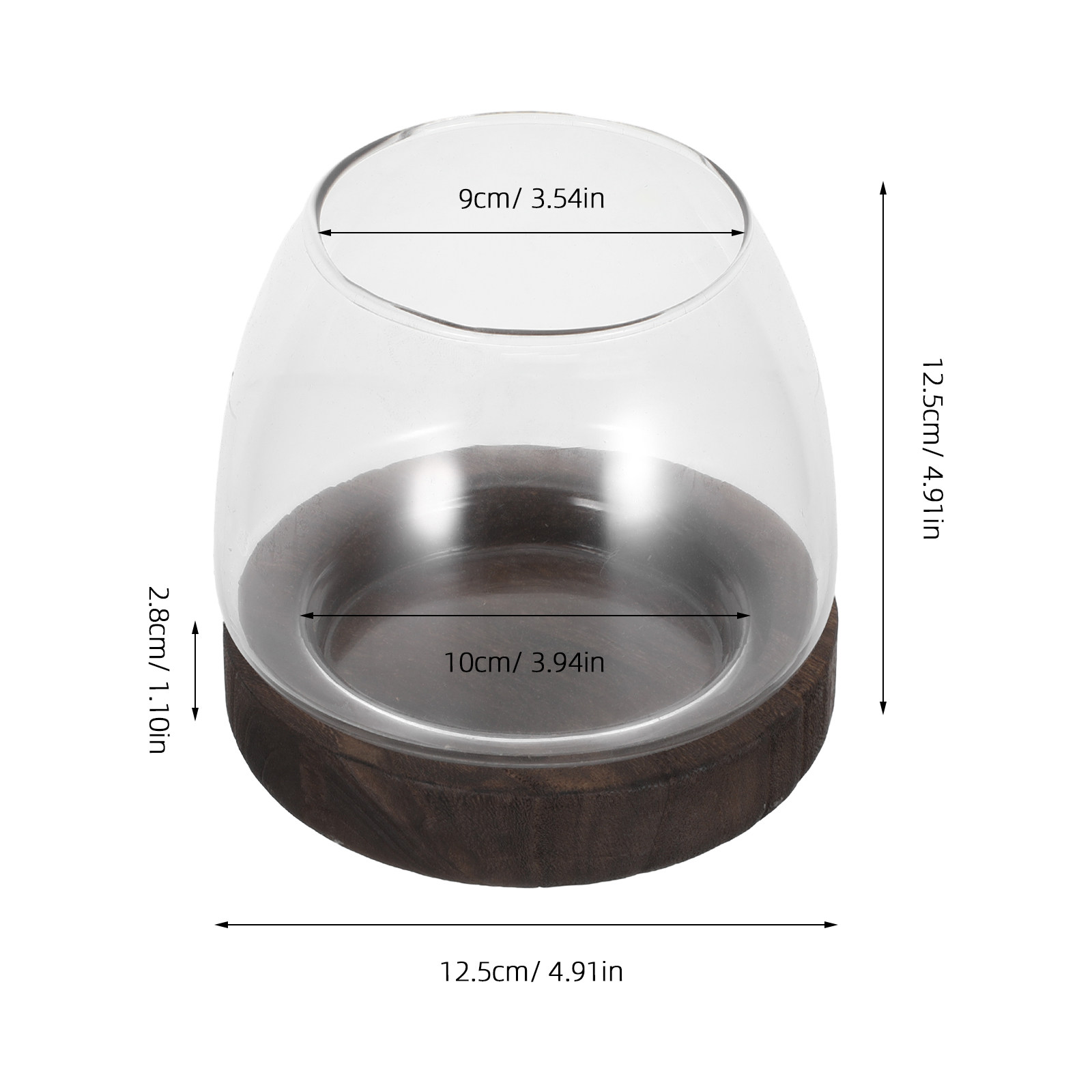 Suporte de plantas hidropônica - Aquarium Plant Holder avaliação e preço