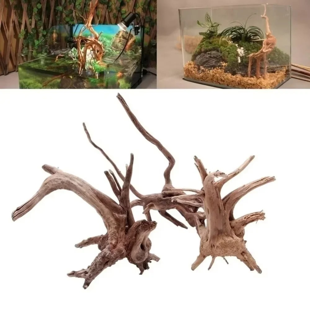 Decoração de Aquário em Madeir - Aquarium Moss avaliação e preço