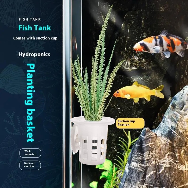 Copos de plástico para plantio - Aquarium Plants Live avaliação e preço