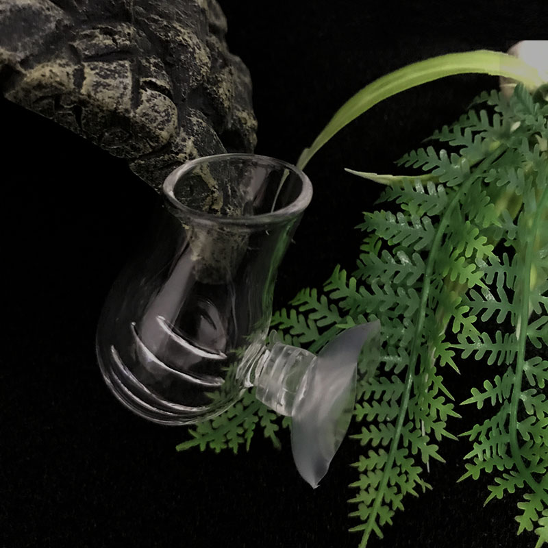 Decoração do aquário pendurado - Plant Aquarium Pot avaliação e preço