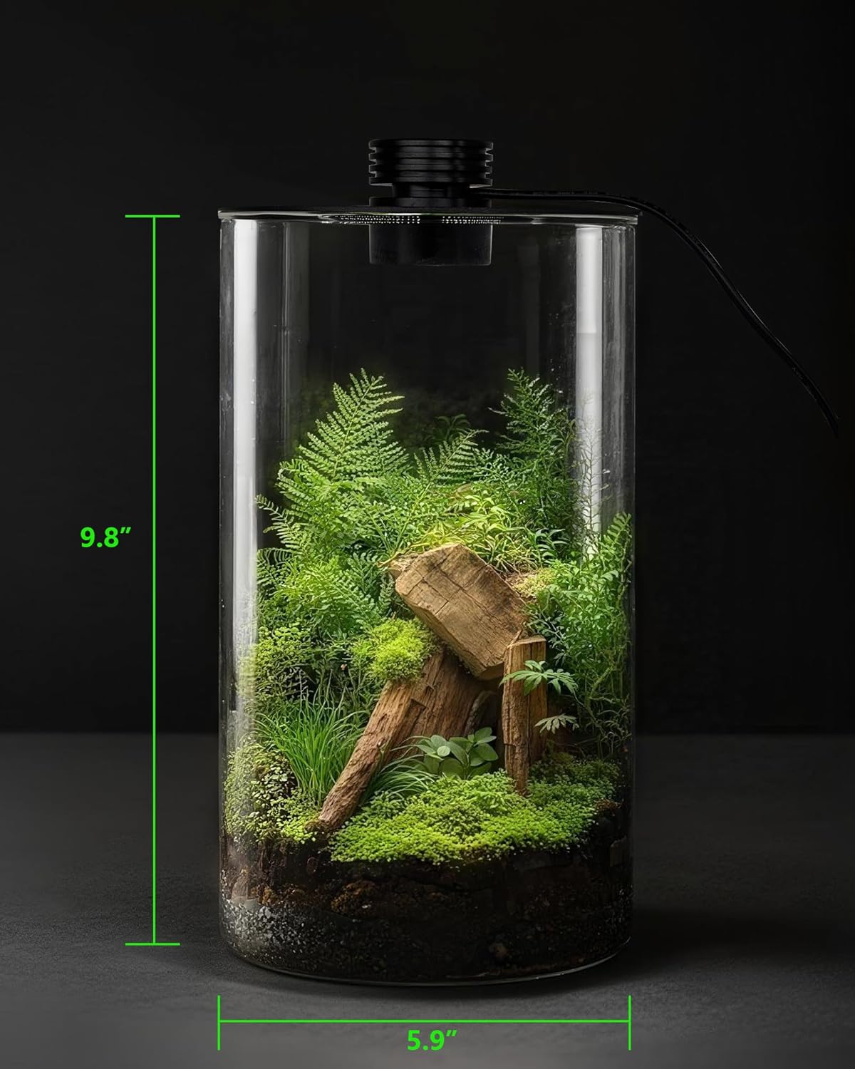 Terrário de Vidro Interno com  - Planted Tank avaliação e preço
