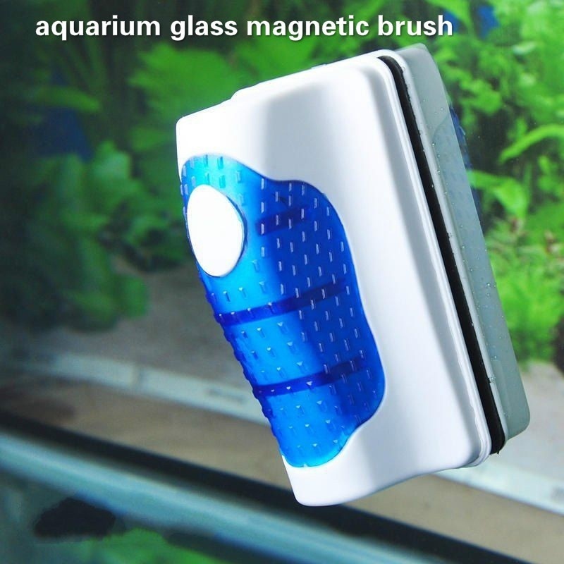 Raspador de Vidro para Aquário - Planted Aquarium Cleaning avaliação e preço