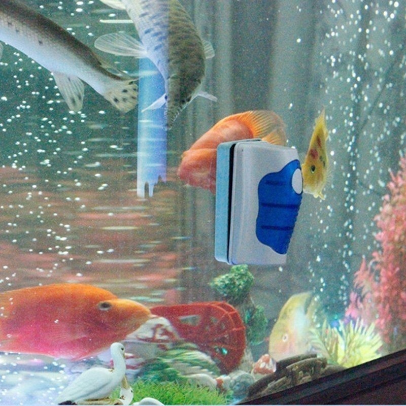 Raspador de Vidro para Aquário - Planted Aquarium Cleaning avaliação e preço